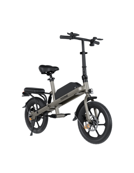 Draisienne électrique 160d PRO