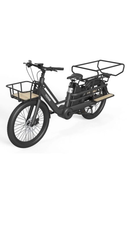 Vélo cargo électrique DAY CARGO 2 LR - Long Tail 24″, 1200Wh 150 km